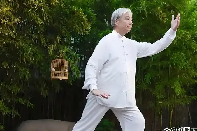 amin wu tai chi 24