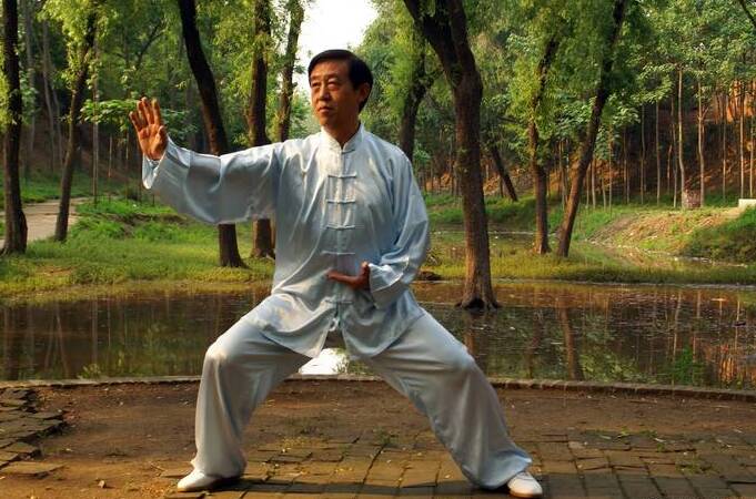 chen style tai chi forms