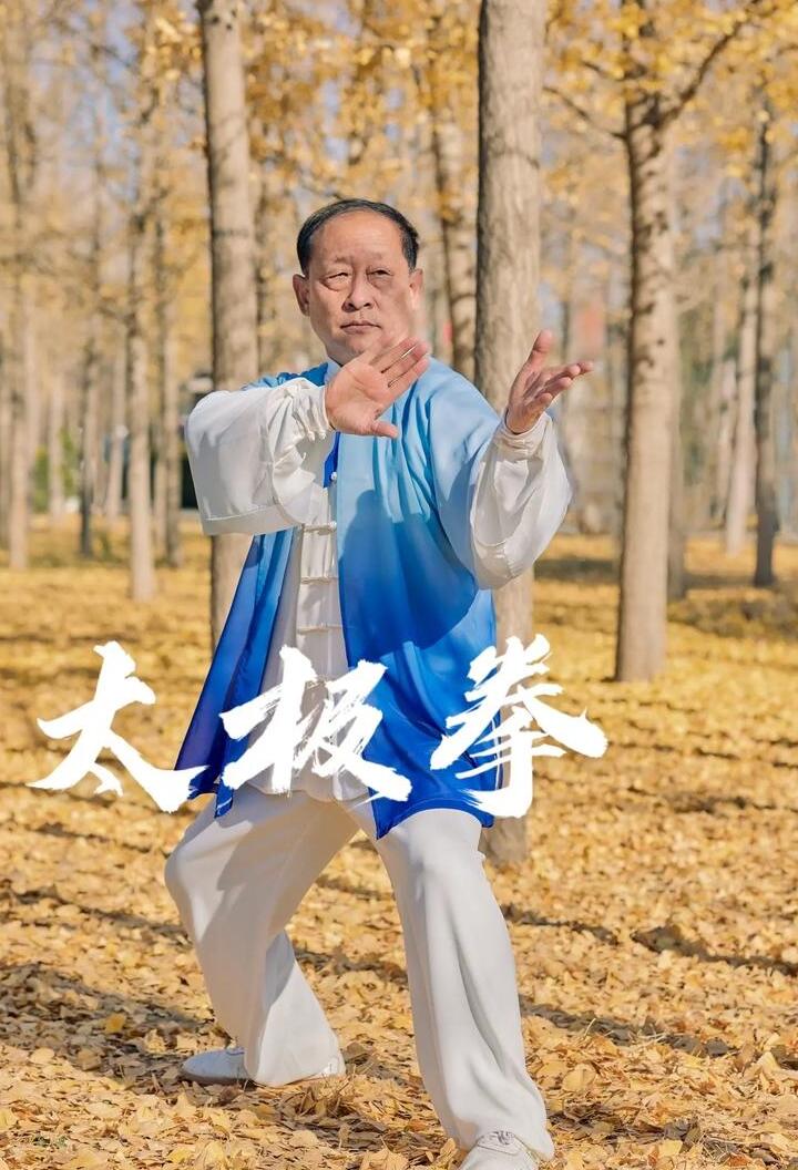 combat tai chi